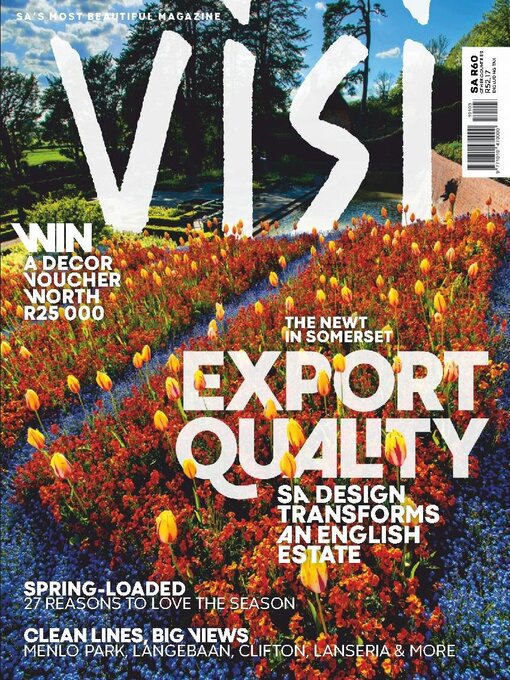 Cover image for Visi 